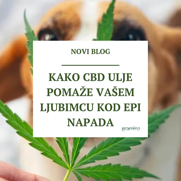 Kako CBD ulje pomaže kod epi napada kućnih ljubimaca
