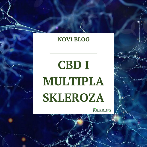CBD I MULTIPLA SKLEROZA