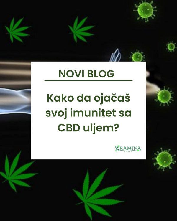 Kako sa CBD uljem da ojačaš svoj imunitet?
