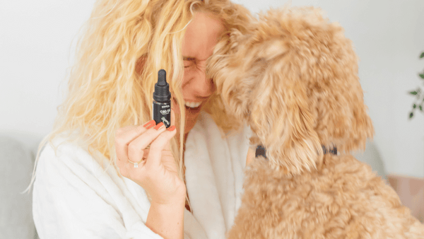 CBD za kućne ljubimce: Koristi i sigurnost za vaše verne prijatelje