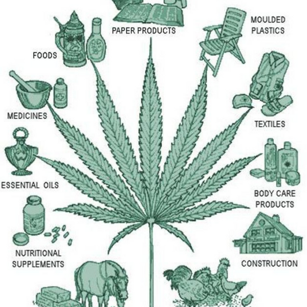 Proizvodi od industrijske konoplje