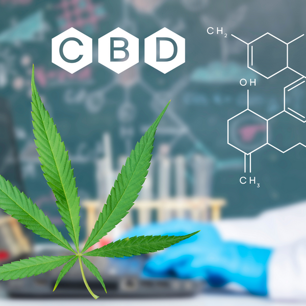 Šta je CBD i kako deluje?