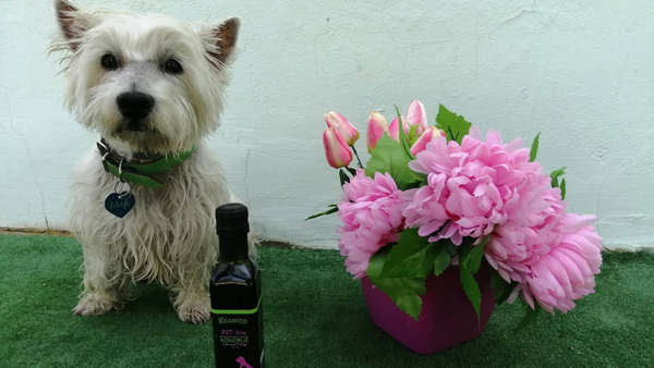 Pet line ulje od konoplje sa dodatkom CBD-a za kućne ljubimce